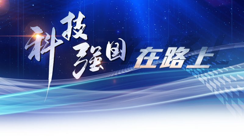 数据治理平台实施步骤：构建高效数据管理体系的必经之路